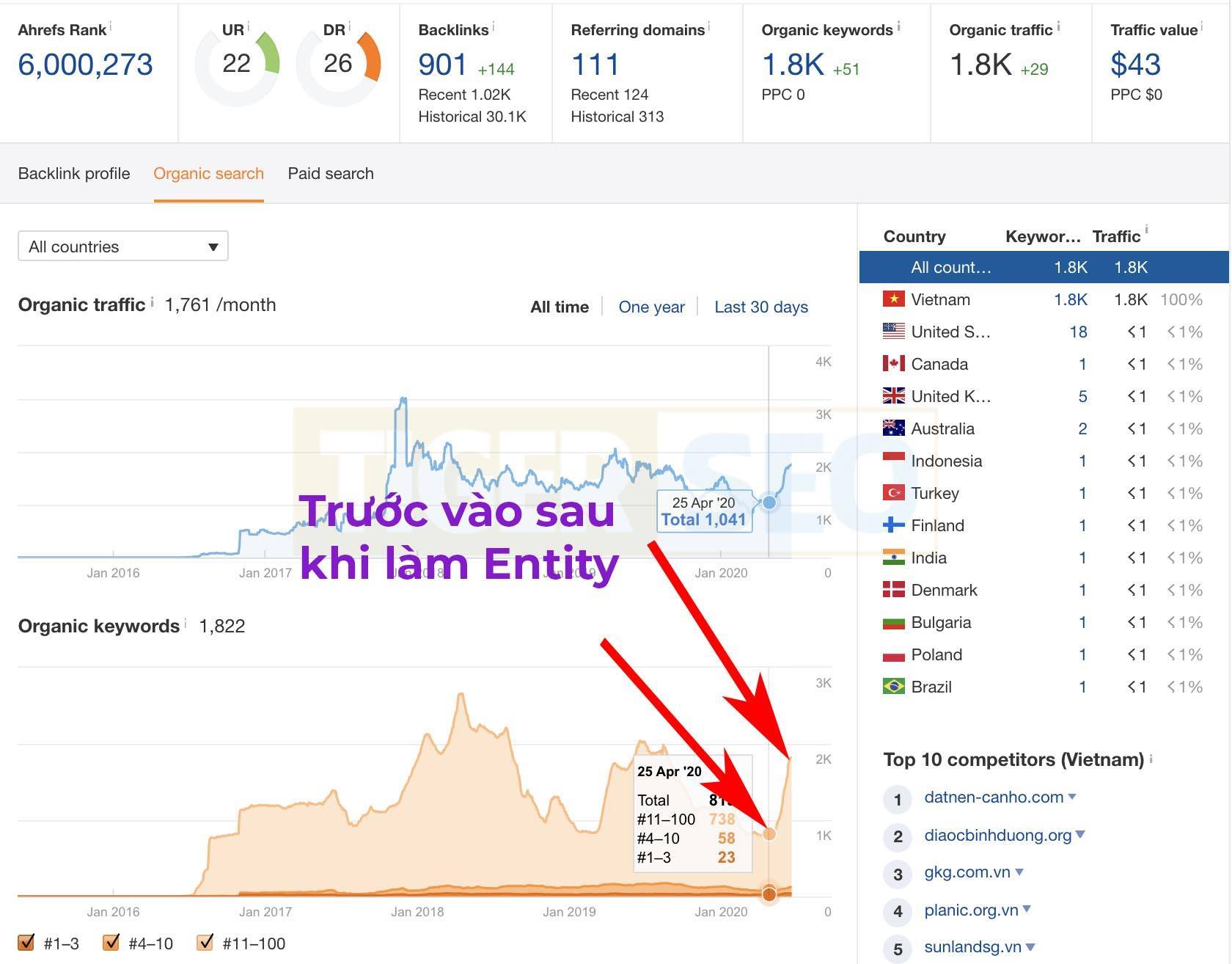 Dịch vụ Entity tăng thứ hạng từ khóa bền vững