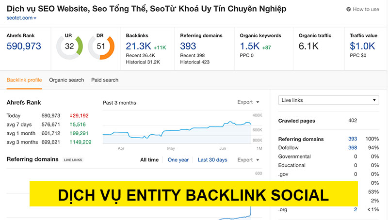 Dịch vụ Entity Seo